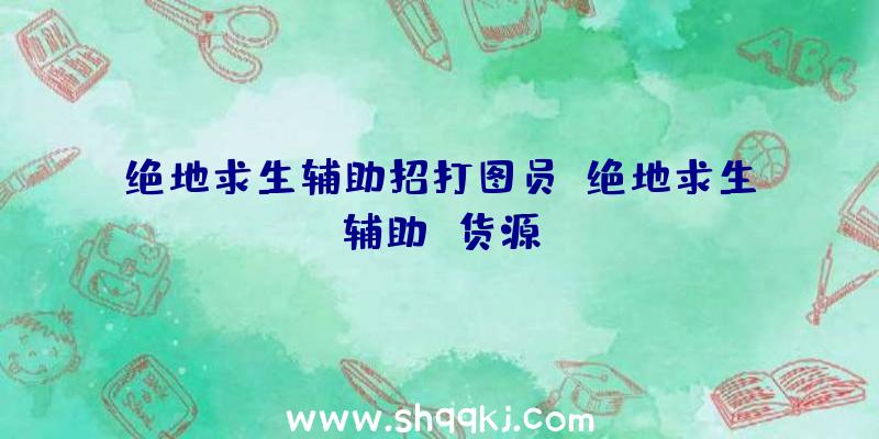 绝地求生辅助招打图员、绝地求生辅助